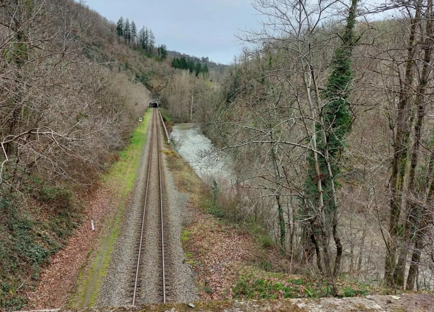 Le Paradis Des Chataigniers Najac